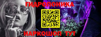 крисы Новокубанск