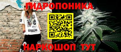 а пвп мука Новодвинск