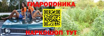а пвп мука Новодвинск