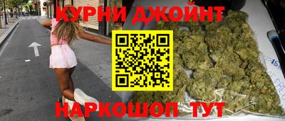 крисы Новокубанск